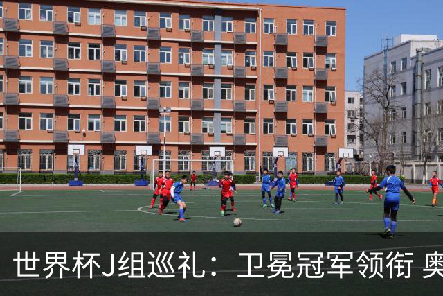世界杯J组巡礼：卫冕冠军领衔 奥地利终进正赛