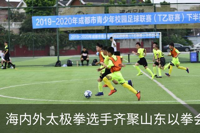 海内外太极拳选手齐聚山东以拳会友